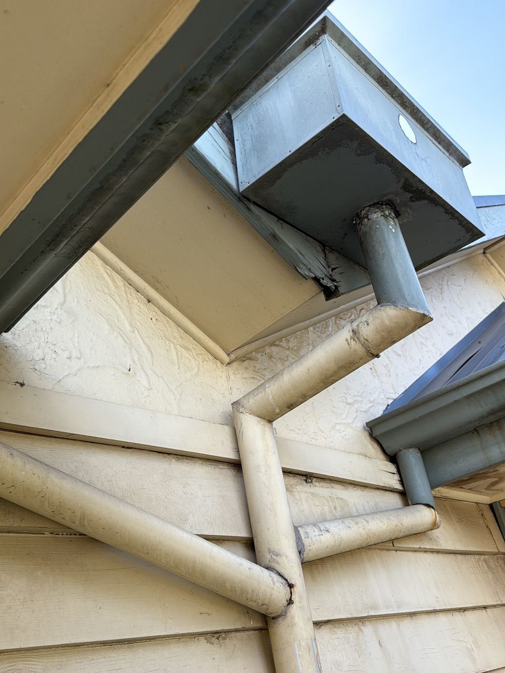 Damaged fascia board that will keep deteriorating if left alone, Newport, Mambourin