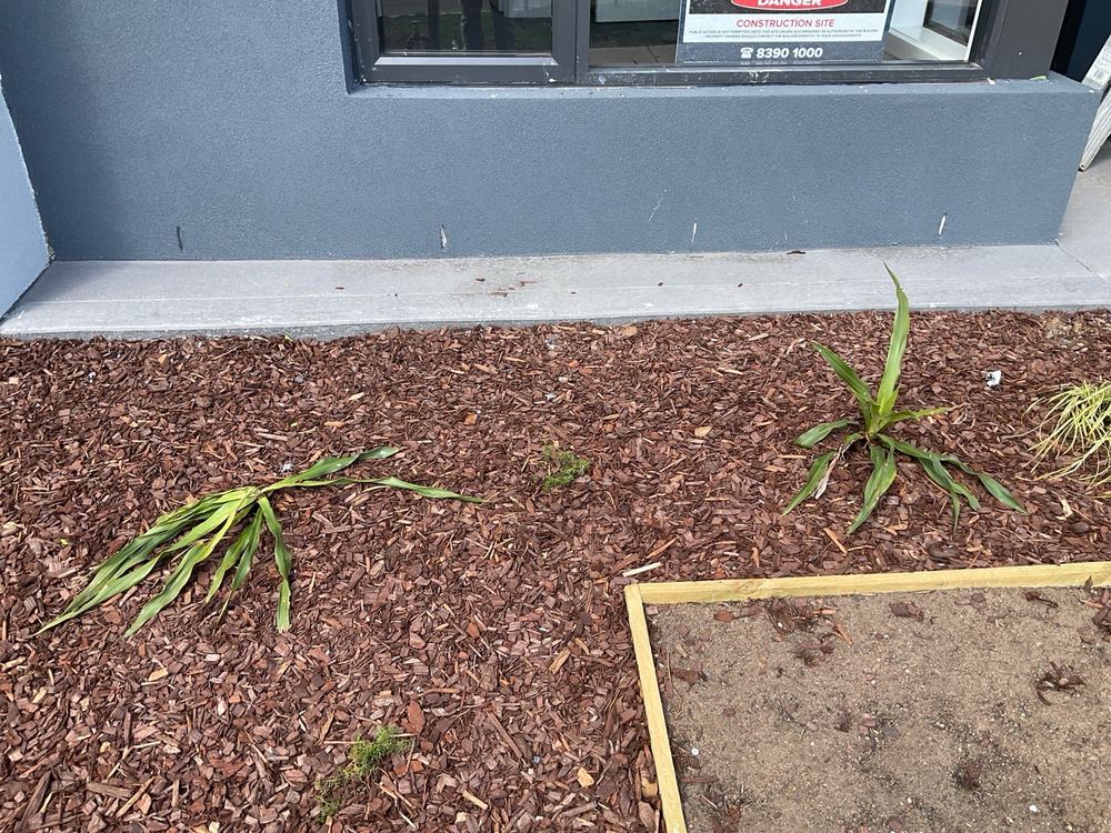 Weep holes blocked with mortar or render, stopping the cavity from ventilating, Mambourin