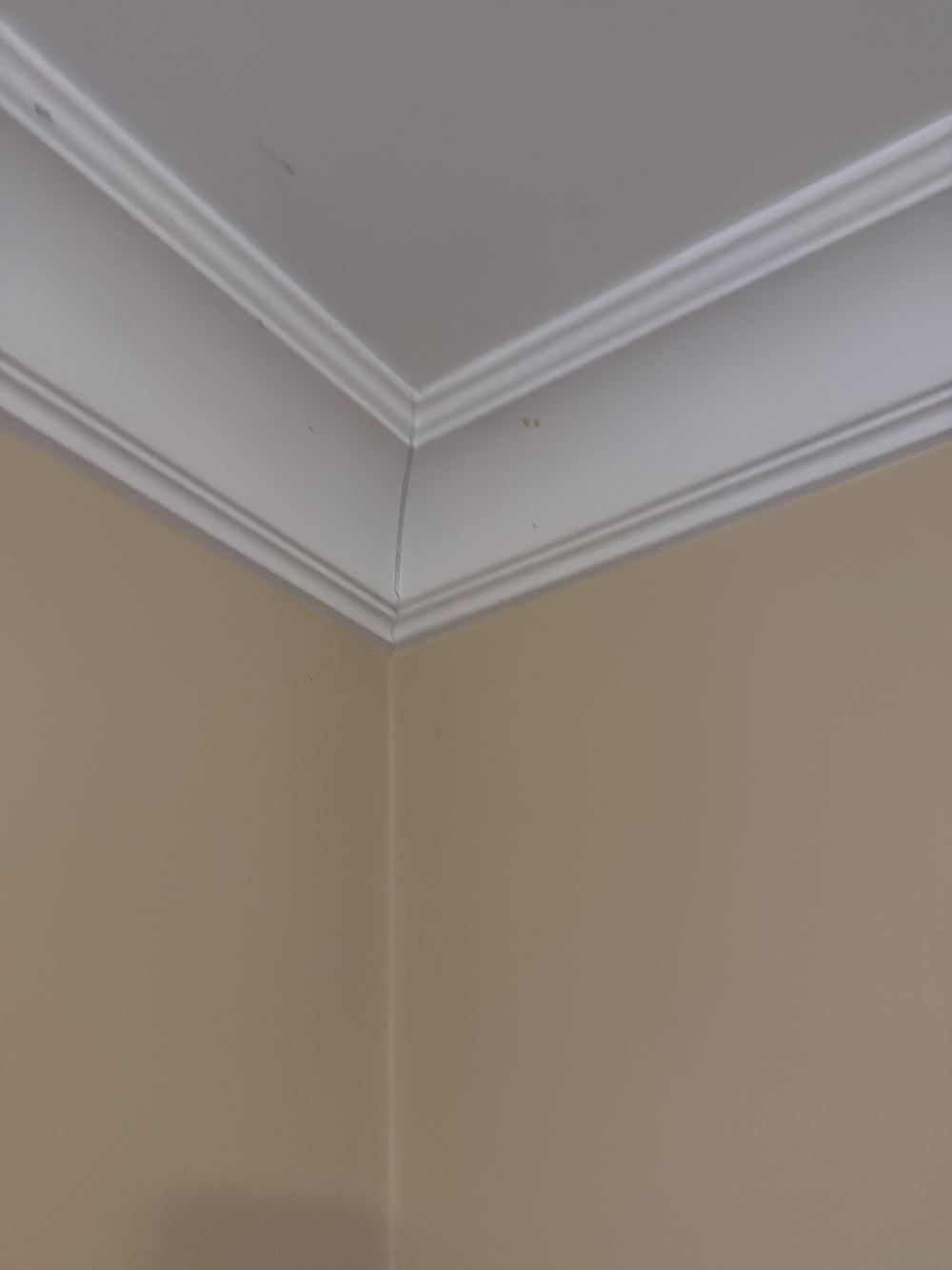 Settlement cracks to walls and cornices from movement in the house, Newport, Mambourin